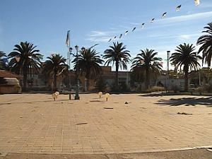 LE TELAGH JARDIN PUBLIC 01